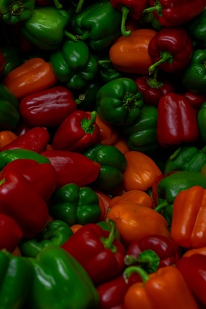Semences de Poivron