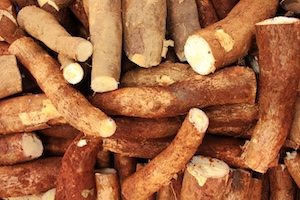 Tubercules