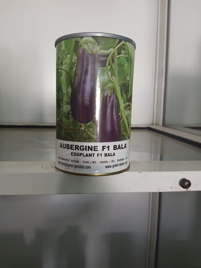 Aubergine F1 Bala