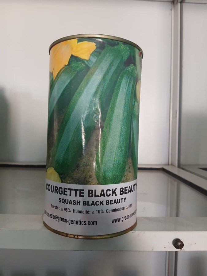 Courgette Black Beauty