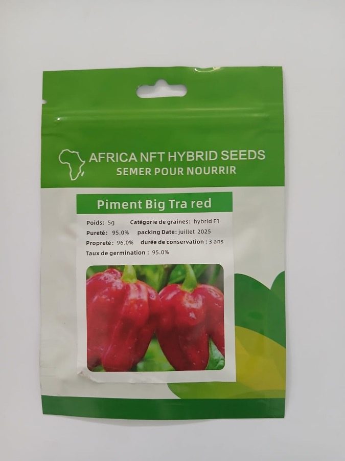 Piment Big Tra Red