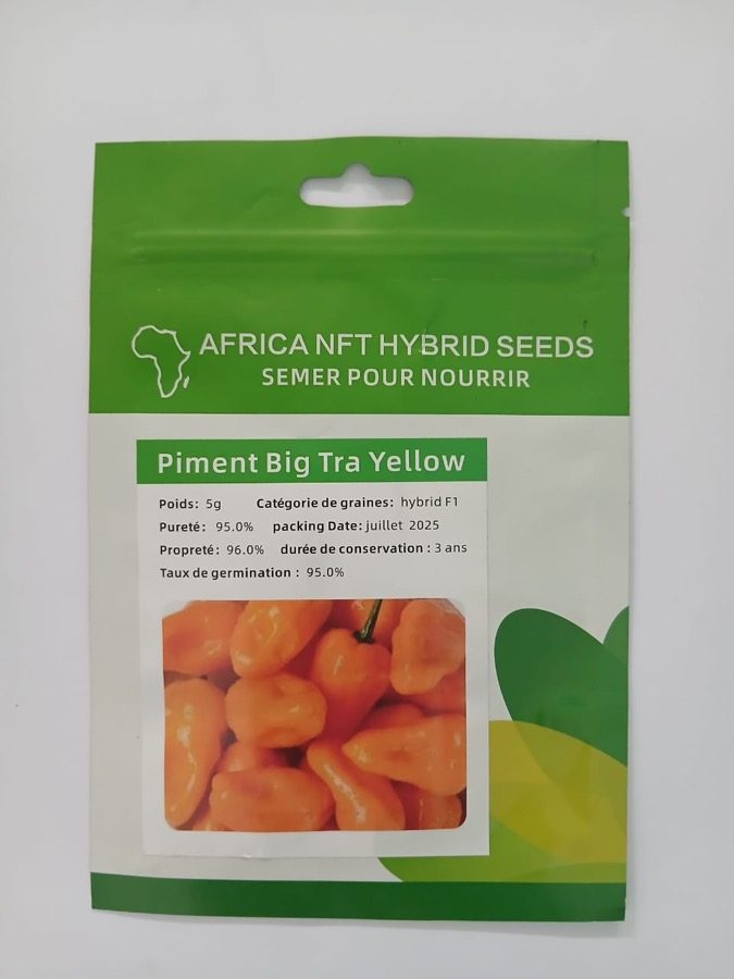 Piment Big Tra Yellow Habanero