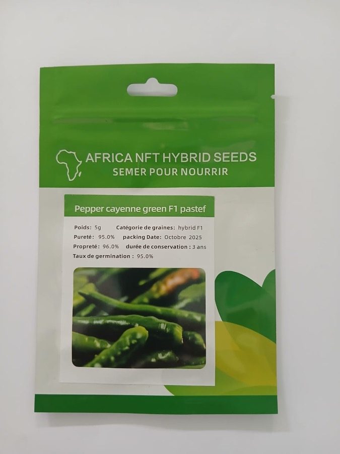 Piment Cayenne F1 Pastef Green