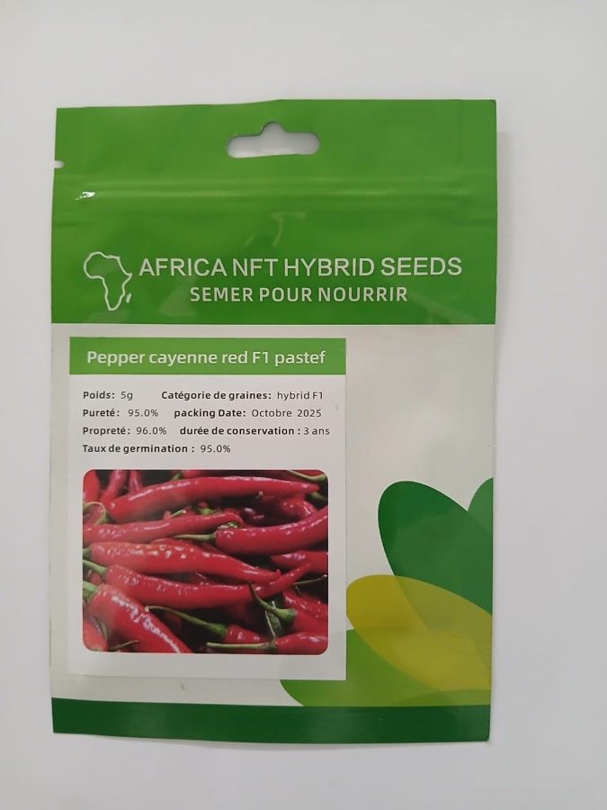 Piment Cayenne F1 Pastef Red