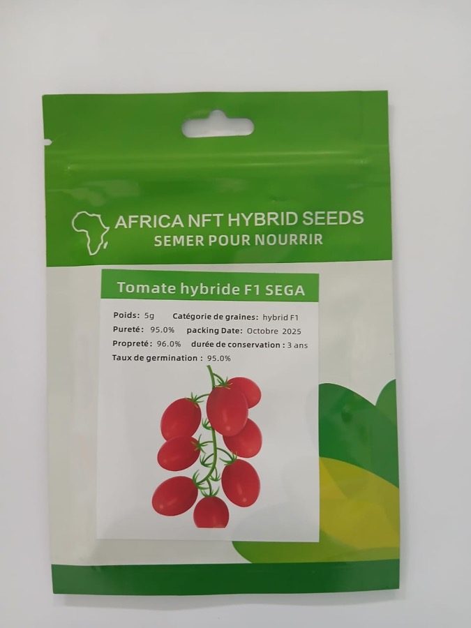 Tomate Hybride F1 Sega
